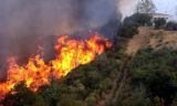 Σε εξέλιξη οι πυρκαγιές σε Ζάκυνθο, Ηλεία - Υπό μερικό έλεγχο στην Κεφαλονιά