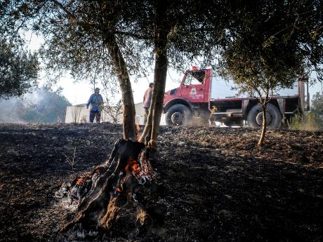 Πυρκαγιές Ηλείας: Σε ετοιμότητα για αναζωπυρώσεις η Πυροσβεστική- Ρίχνουν νερό στα δάση που σώθηκαν