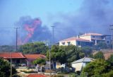 Εμπρησμοί οι περισσότερες πυρκαγιές με τεράστιες ζημίες σε όλο το νησί 