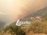 Ναυπακτία: Πυρκαγιά στο Μολύκρειο - ΔΕΙΤΕ ΦΩΤΟ & ΒΙΝΤΕΟ