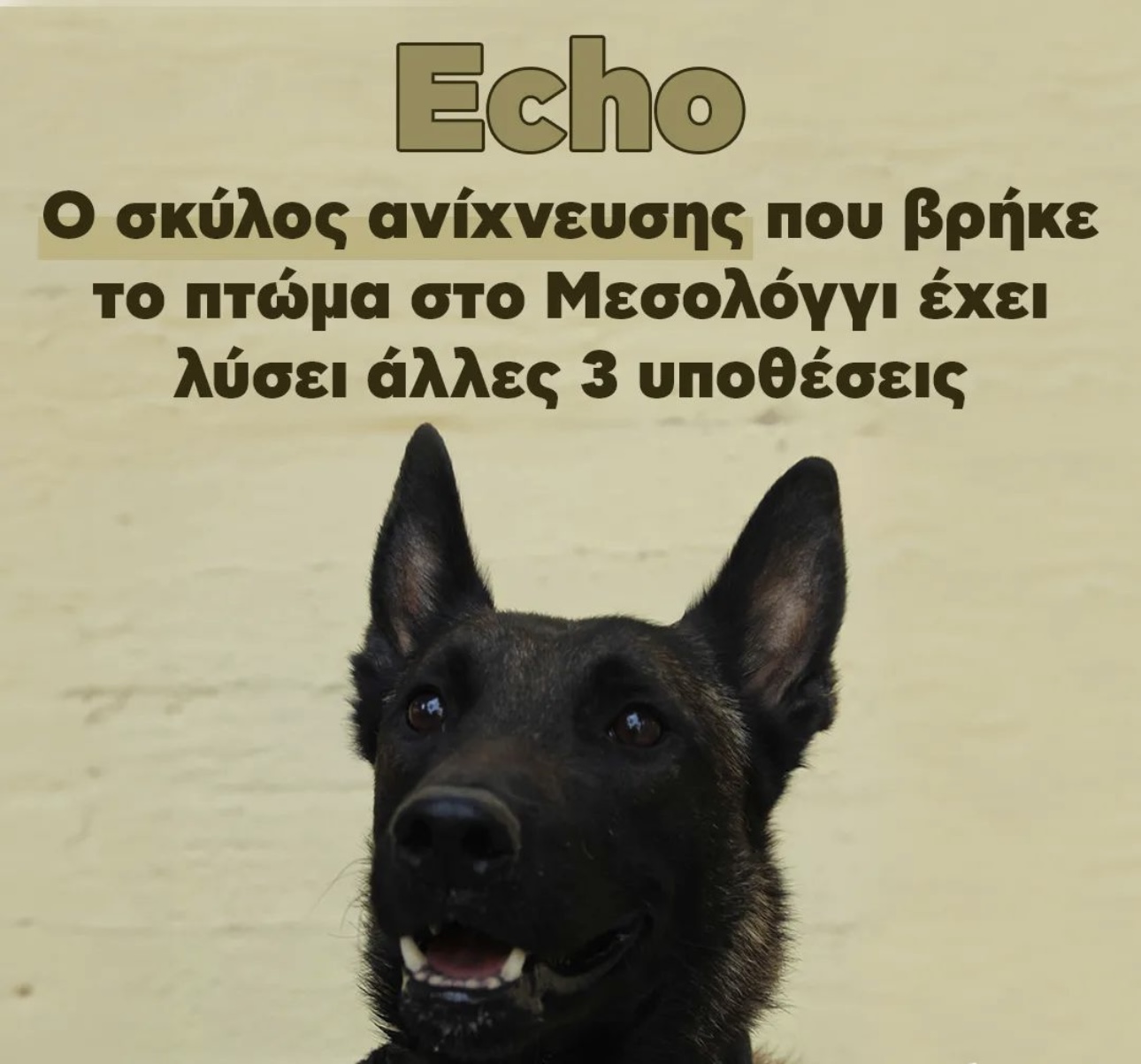 Στην Ηλεία ο Echo, ο σκύλος που βρήκε τον Μπάμπη