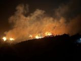 Φωτιά στον Ταΰγετο: Ολονύχτια η μάχη με τις φλόγες - Δεν απειλούνται κατοικίες