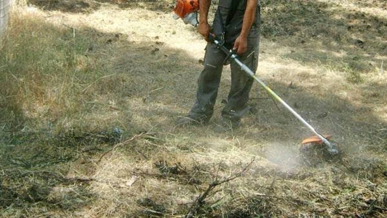 Δήμος Δελφών: Ενημέρωση για την υποχρέωση καθαρισμού οικοπέδων και λοιπών ακάλυπτων χώρων