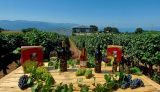 Χρυσό βραβείο καλύτερου ελληνικού κρασιού στο Οινοποιείο Παπαθανασόπουλος και το Λευκό κρασί «Πέτρινο Χωριό», στον Διεθνή Διαγωνισμό κρασιού "Concours International de LYON"