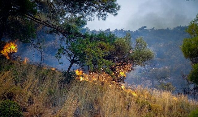 Οι περιοχές της Περιφέρειας Δυτικής Ελλάδας που θα απαγορεύεται η κυκλοφορία κατά τις ημέρες  πολύ υψηλού κινδύνου πυρκαγιάς ή συναγερμού