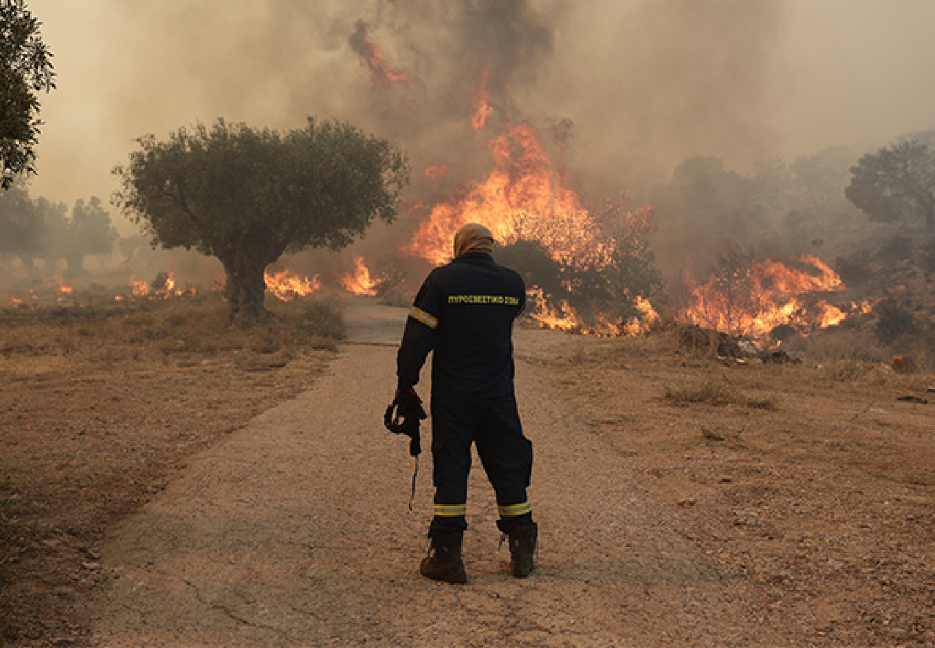Πυρκαγιά σε αγροτοδασική έκταση στην Αγία Τριάδα Βοιωτίας - Σηκώθηκαν και εναέρια μέσα