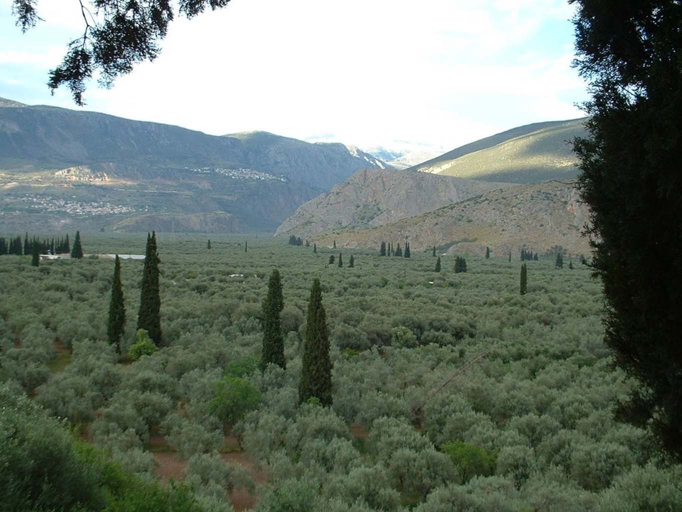  ΜΕΤΡΑ  ΕΝΑΝΤΙ ΠΥΡΚΑΓΙΩΝ ΣΤΟΝ  ΕΛΑΙΩΝΑ ΑΜΦΙΣΣΑΣ (ΔΕΙΚΤΗΣ ΕΠΙΚΙΝΔΥΝΟΤΗΤΑΣ 4)