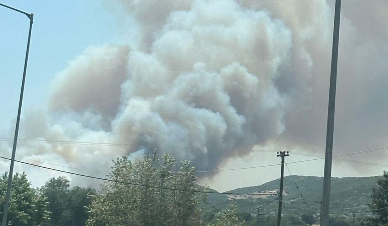 ΤΩΡΑ: Μεγάλη φωτιά στην περιοχή Μαστραντώνη του Δήμου Ερυμάνθου