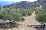 ΤΡΑΓΩΔΙΑ ΣΤΗΝ ΑΧΑΪΑ: Ξεψύχησε σε χωράφι