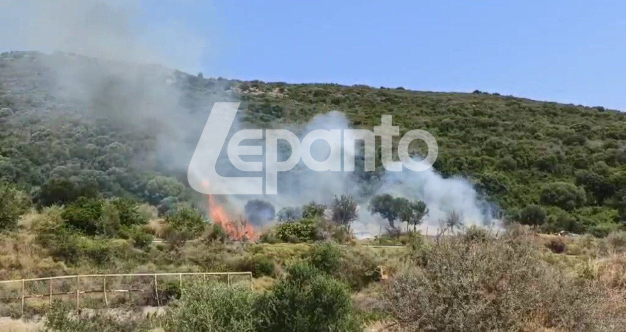 Φωτιά σε δασική έκταση στον περιφερειακό της Ναυπάκτου
