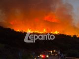 ΔΥΤΙΚΗ ΕΛΛΑΔΑ: Μεγάλη φωτιά μέσα στη νύχτα – Ηχησε 112 