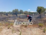 Φωτιά στο Αντίρριο