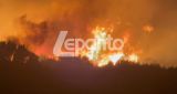 Η πυρκαγιά στη Μακύνεια έχει πάρει μεγάλες διαστάσεις