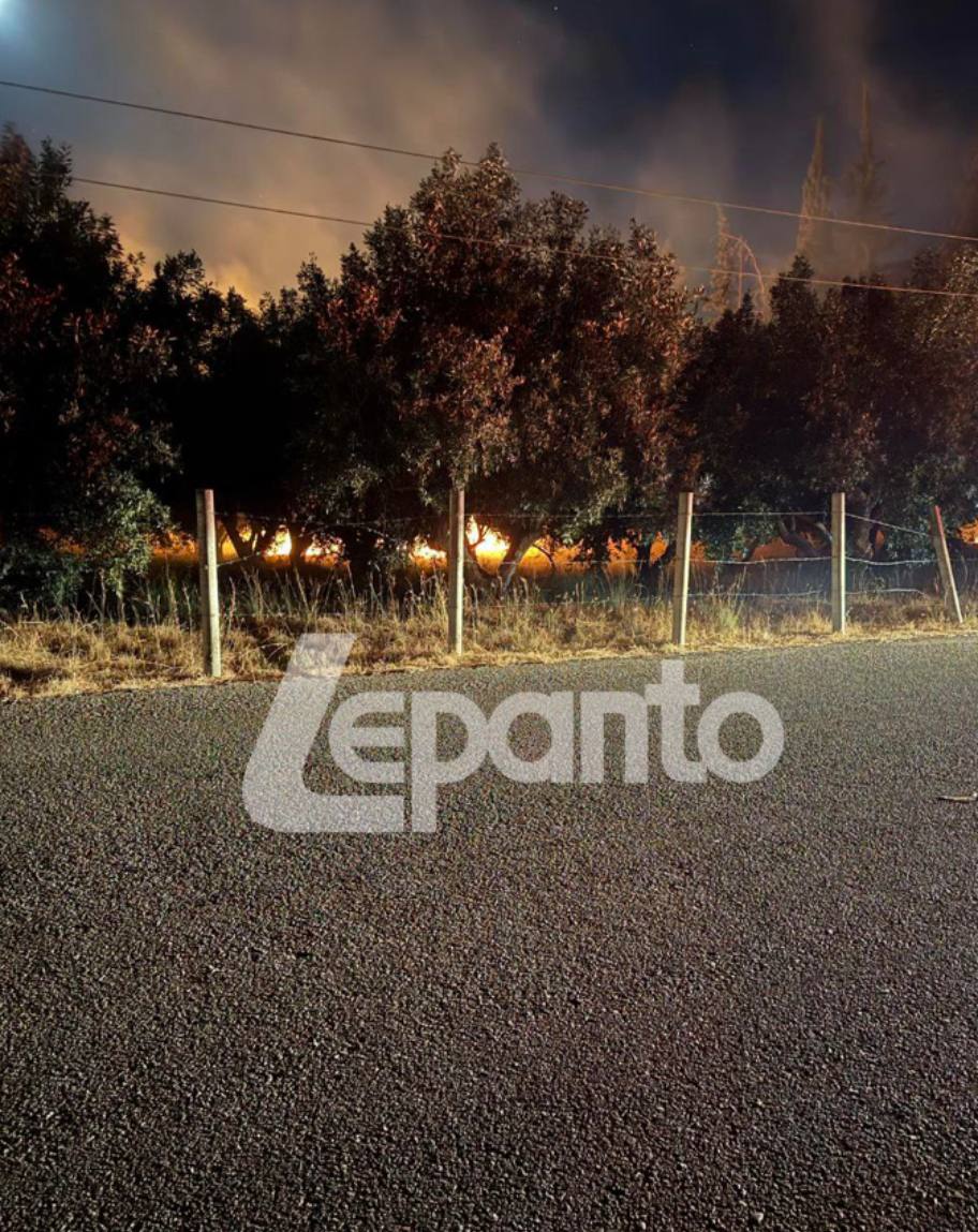 Φωτιά μέσα στον οικισμό του Λυγιά Ναυπάκτου