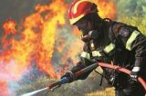 Αιτωλοακαρνανία - Καίγεται δάσος στην περιοχή Παλαιομάνινα