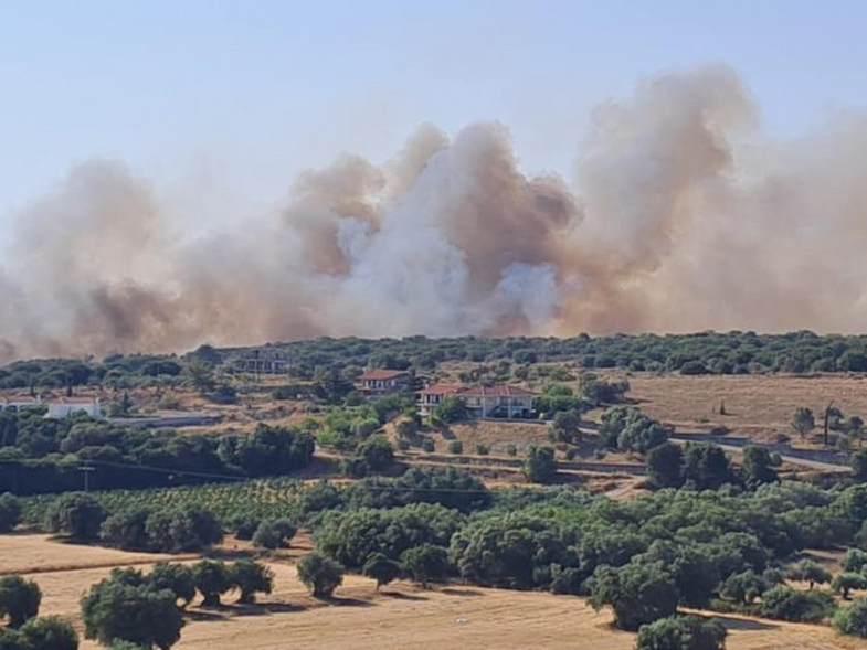 Φωτιά ΤΩΡΑ στην Κεφαλονιά, καίει σε Καραβάδο και Περατάτα