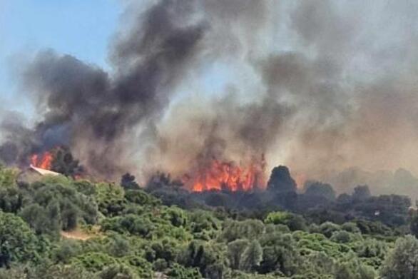Φωτιές: Σε “κίτρινο συναγερμό” σήμερα Αχαΐα και Ηλεία