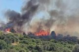 Φωτιές: Σε “κίτρινο συναγερμό” σήμερα Αχαΐα και Ηλεία