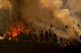Ισπανία: Ένας πυροσβέστης έχασε τη ζωή του, ενώ συνεχίζουν να μαίνονται οι δασικές πυρκαγιές στη χώρα