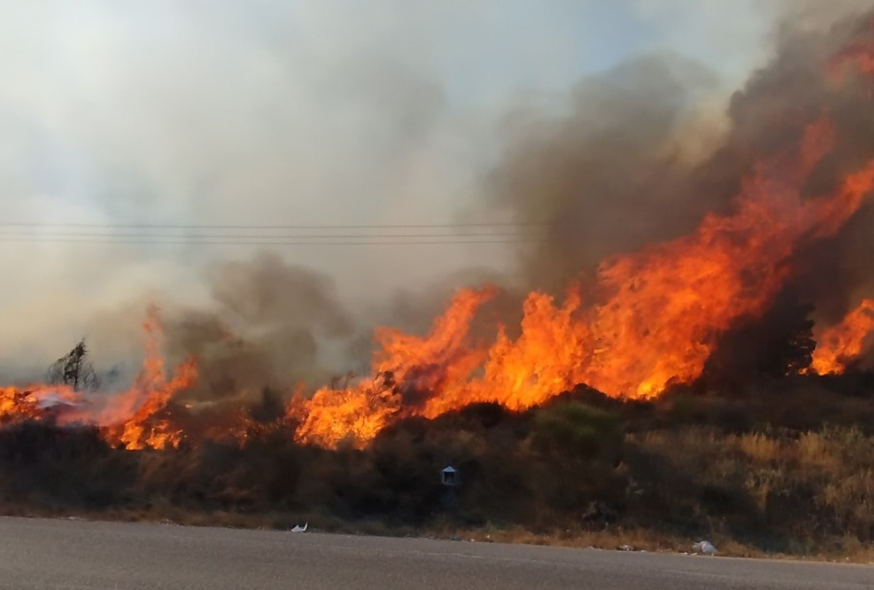 Έσβησε η φωτιά στο Ευηνοχώρι / Η περιοχή μετρά τις πληγές της