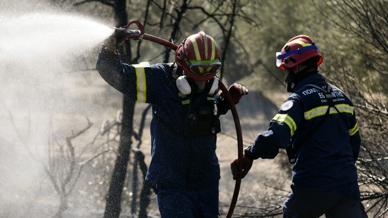 Σταμνά: Το χωριό γλύτωσε από την πύρινη λαίλαπα / Χάθηκαν χιλιάδες στρέμματα καλλιεργειών