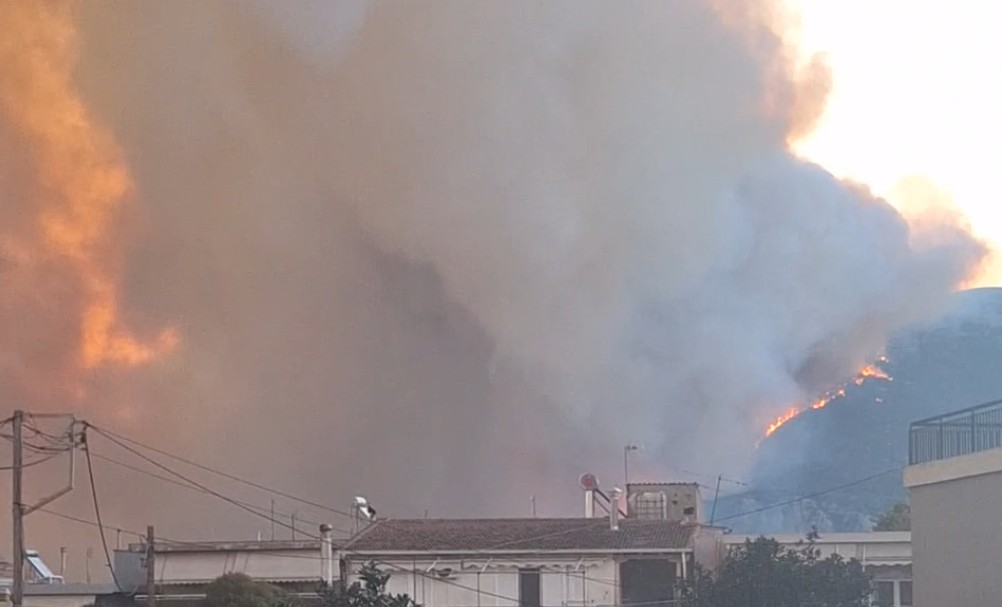 Παλιάμπελα Βόνιτσας: Μάχη με τις φλόγες, επιχειρούν πάνω από 20 πυροσβέστες- Μήνυμα του 112