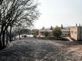 Φωτιά στην Πάτρα: Μυστήριο με τα κίνητρα του 19χρονου και του 27χρονου που κατηγορούνται για εμπρησμό