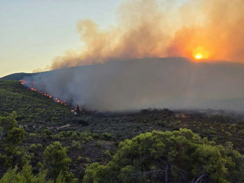 Ζάκυνθος: Φωτιά στον Κοιλιωμένο: Μήνυμα του 112 για εκκένωση προς Κερί