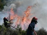 Άρτα: Πυρκαγιά σε δασική έκταση στην περιοχή Αμμότοπος