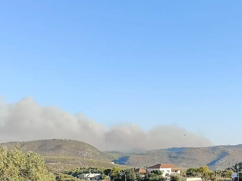 Νέα φωτιά σε Πρέβεζα, Άρτα - Μέτωπα σε Ζάκυνθο, Κεφαλονιά, Βόνιτσα και Φωκίδα - 112 για εκκενώσεις οικισμών