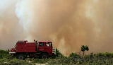 Δηλώσεις ζημιών στον ΕΛΓΑ για πυρόπληκτους καλλιεργητές στην Αρχαία Νεμέα