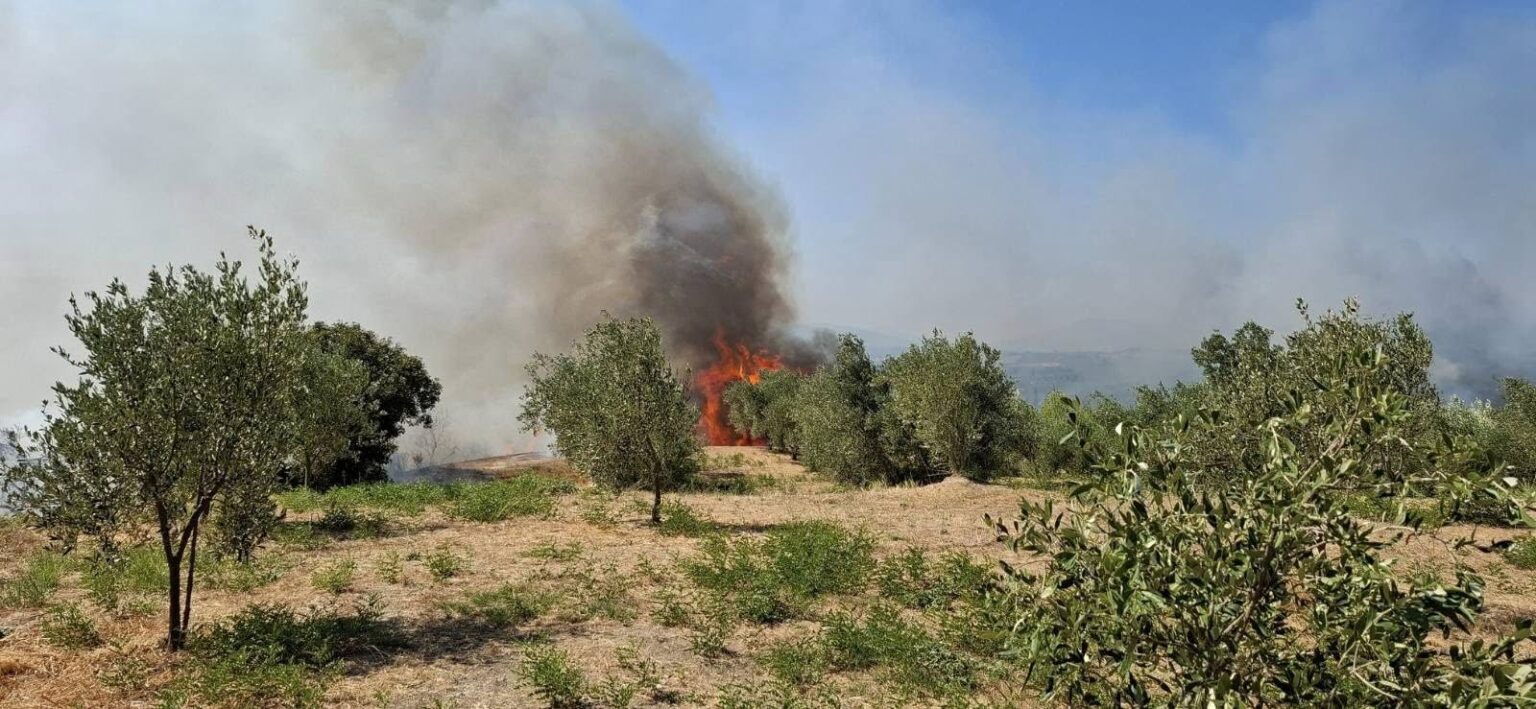 Σχεδόν 100.000 στρέμματα έχουν επηρεαστεί από τις φωτιές