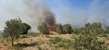 Σχεδόν 100.000 στρέμματα έχουν επηρεαστεί από τις φωτιές