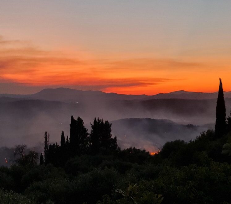 Σταμνά: «Μαύρη μέρα ξημέρωσε, χιλιάδες καμένα στρέμματα ελιές και περιβόλια», λένε οι κάτοικοι