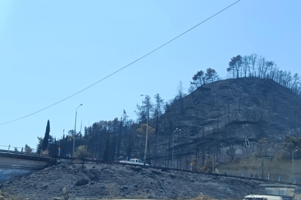 Εμπορικός Σύλλογος Πάτρας: Αυτοψία στην περιοχή των Συχαινών και Μποζαϊτίκων