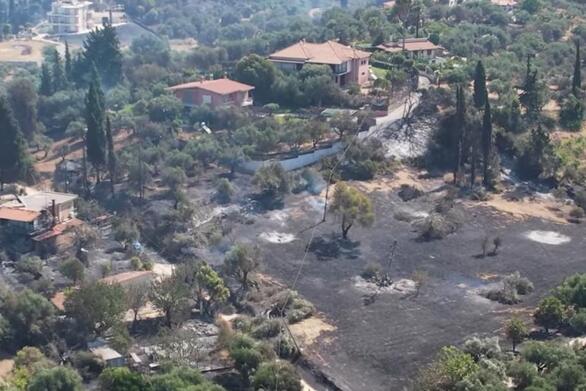 Δυτική Αχαΐα: Περιπολίες της αστυνομίας για να αποτρέψει λεηλασίες στα καμένα