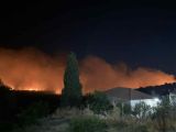 Δήμος Μεσολογγίου: Ενημέρωση για αποζημιώσεις καλλιεργειών που επλήγησαν από πυρκαγιά