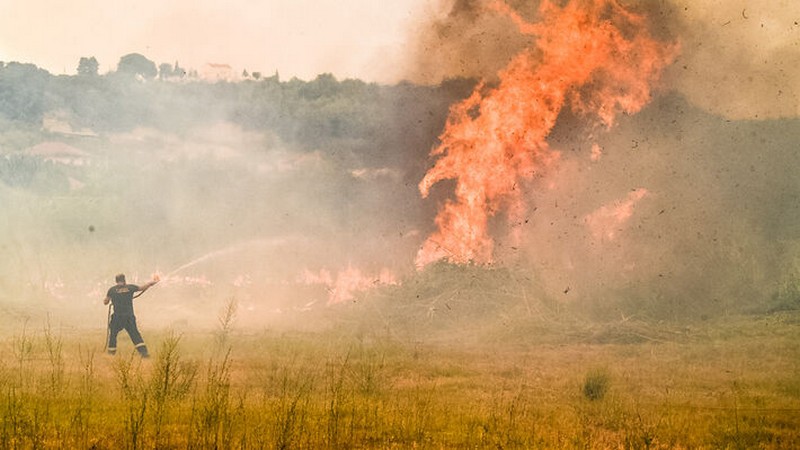 Επείγουσα προθεσμία για πυρόπληκτους αγρότες του Μεσολογγίου