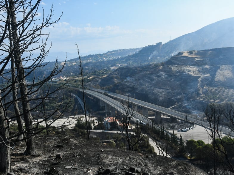 Πυρκαγιές: Ποιες περιοχες κηρύχθηκαν σε κατάσταση Έκτακτης Ανάγκης στην Αχαΐα και την Πάτρα