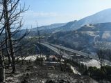 Πυρκαγιές: Ποιες περιοχες κηρύχθηκαν σε κατάσταση Έκτακτης Ανάγκης στην Αχαΐα και την Πάτρα