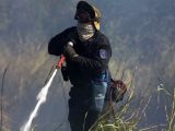 Κίνδυνος Πυρκαγιάς: «Πορτοκαλί» συναγερμός σε 7 περιοχές