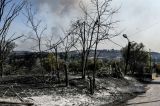 Το ΤΕΕ/Τμήμα Δυτικής Ελλάδας αναλαμβάνει πρωτοβουλία για κοινό, ολιστικό σχέδιο ανθεκτικότητας και ανασυγκρότησης της Πάτρας και της Δυτικής Αχαΐας  