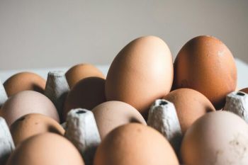 Τι έδειξε η Ηλεία για τα οικόσιτα αυγά – Σοκαριστικά επίπεδα PFAS, φυτοφαρμάκων και φαρμακευτικών κατάλοιπων