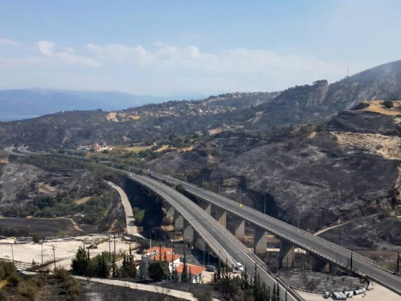 Πάτρα: Δυσοίωνες οι προβλέψεις για την αποκατάσταση του περιβάλλοντος στις καμένες περιοχές