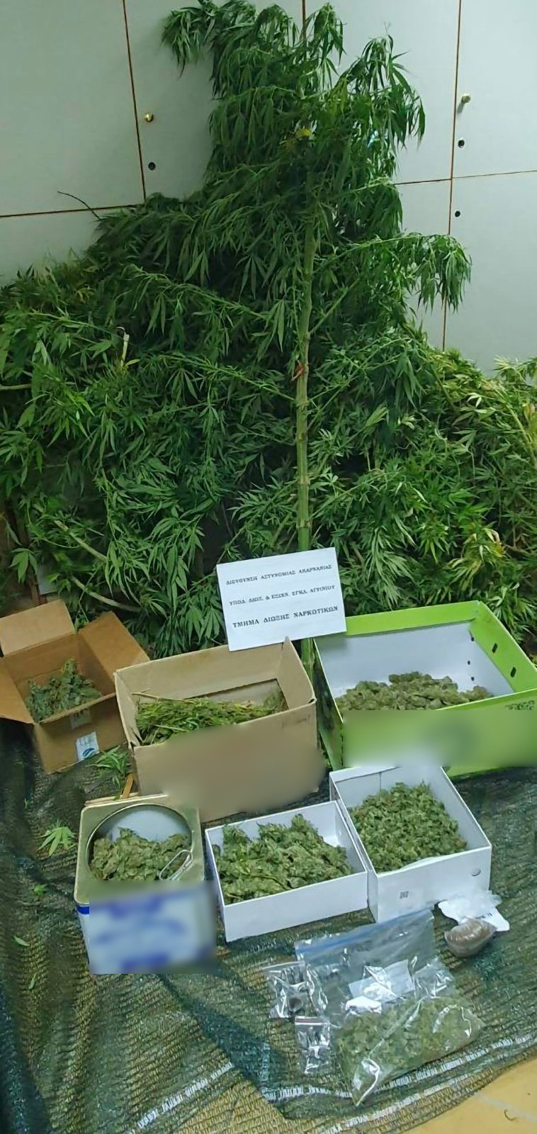 Σύλληψη άνδρα για διακίνηση, καλλιέργεια και κατοχή ναρκωτικών ουσιών στο Αγρίνιο