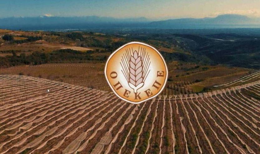 ΟΠΕΚΕΠΕ: Πραγματοποιήθηκε η πρώτη πληρωμή υπό τη νέα μεταβατική Διοίκηση – Ποιοι έλαβαν τα ποσά της ενίσχυσης