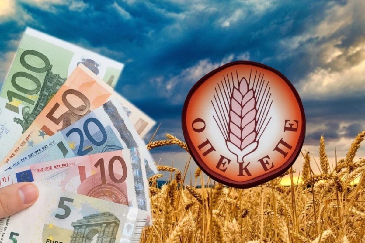 ΟΠΕΚΕΠΕ: Καταβολή 54,3 εκατομμύριων ευρώ σε 42.522 δικαιούχους για ζωοτροφές και ζημιές από Daniel (φερτά υλικά) ΟΠΕΚΕΠΕ: Καταβολή 54,3 εκατομμύριων ευρώ σε 42.522 δικαιούχους για ζωοτροφές και ζημιές από Daniel (φερτά υλικά)