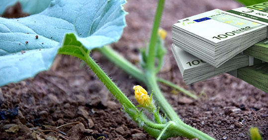 Τσιάρας: Πληρωμές 500 εκατ. ευρώ στους αγρότες αυτή την εβδομάδα