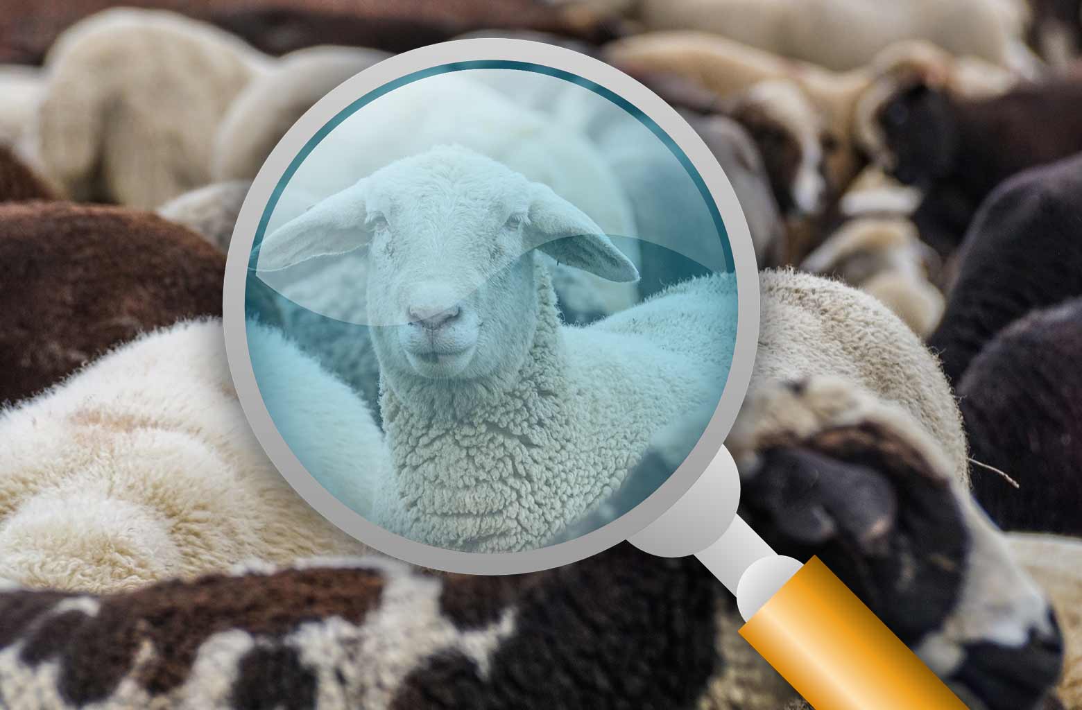 ΥΠΑΑΤ: 2,4 εκατ. ευρώ στις Περιφέρειες για λειτουργικές δαπάνες αντιμετώπισης της ευλογιάς