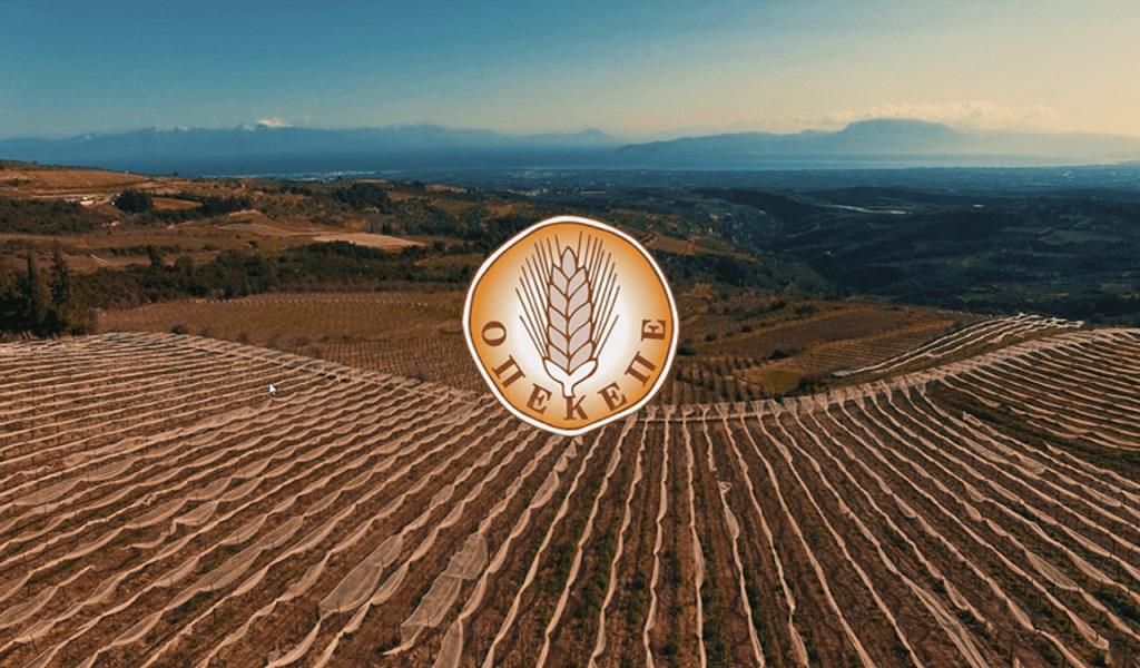 ΟΠΕΚΕΠΕ: Ενστάσεις σε αγροτεμάχια χωρίς ΚΑΕΚ και Μέτρο 23 – Τι προβλέπεται